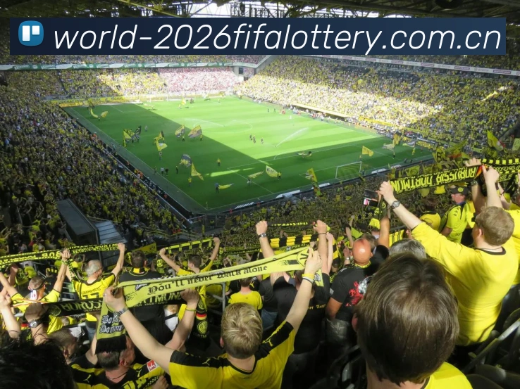 FIFA官方彩票数据授权认证